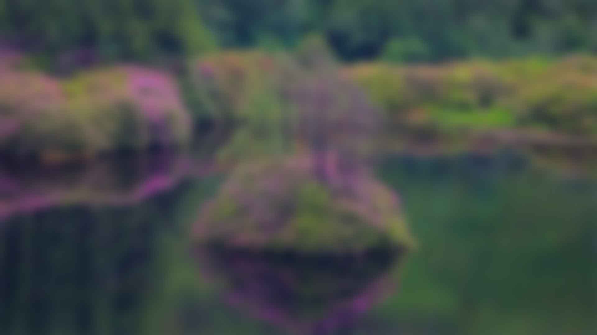 健身：拥抱健康与活力的生活方式