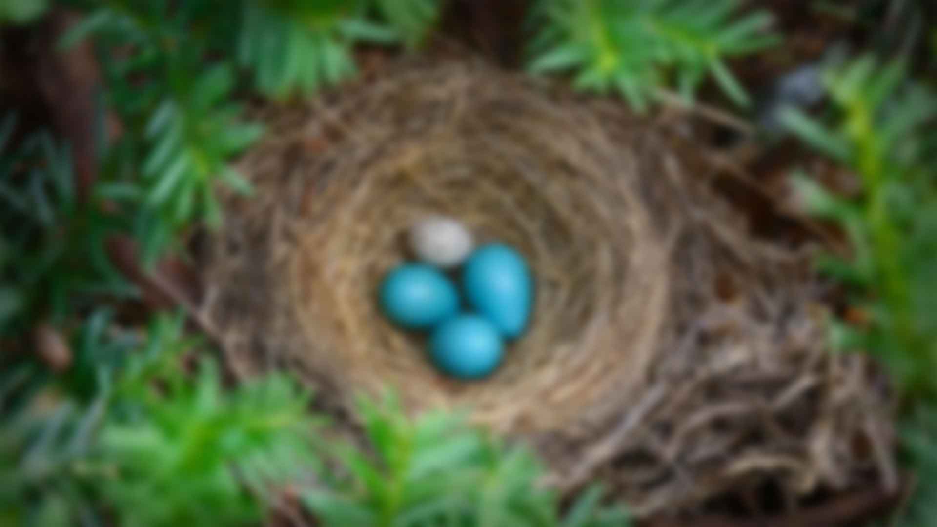 健身：拥抱健康与活力的生活方式